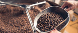 Unveiling the Magic Behind Your Cup: Exploring Coffee Processing Methods